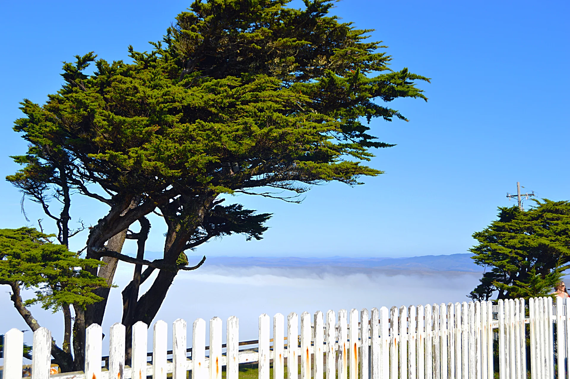 Point Reyes National Seashore coastal scene