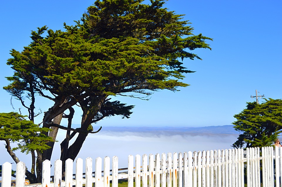 Point Reyes National Seashore coastal scene